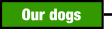 Our dogs